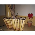 Zdjęcia użytkowników Honor 7