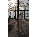 Zdjęcia użytkowników Honor 7