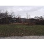 Zdjęcia użytkowników Honor 7