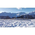 Zdjęcia użytkowników Honor 7