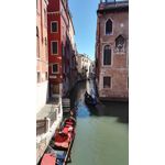 Zdjęcia użytkowników Honor 7