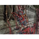 Zdjęcia użytkowników Honor 7