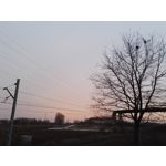 Zdjęcia użytkowników Honor 7