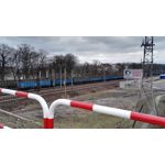 Zdjęcia użytkowników Honor 7