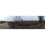 Zdjęcia użytkowników Honor 7