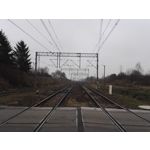 Zdjęcia użytkowników Honor 7