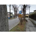 Zdjęcia użytkowników Honor 7