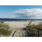 Zdjęcia użytkowników Honor 7