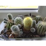 Zdjęcia użytkowników Honor 7