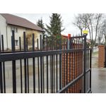 Zdjęcia użytkowników Honor 7