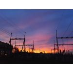 Zdjęcia użytkowników Honor 7