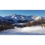 Zdjęcia użytkowników Honor 7