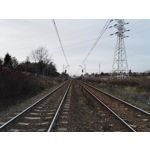 Zdjęcia użytkowników Honor 7