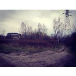 Zdjęcia użytkowników Honor 7