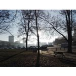 Zdjęcia użytkowników Honor 7