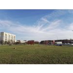 Zdjęcia użytkowników Honor 7