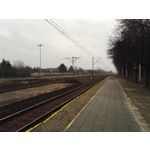 Zdjęcia użytkowników Honor 7