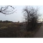 Zdjęcia użytkowników Honor 7