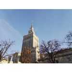 Zdjęcia użytkowników Honor 7