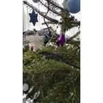 Zdjęcia użytkowników Honor 7