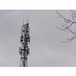 Zdjęcia użytkowników Honor 7