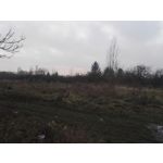 Zdjęcia użytkowników Honor 7