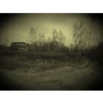 Zdjęcia użytkowników Honor 7