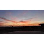 Zdjęcia użytkowników Honor 7