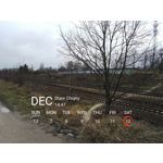 Zdjęcia użytkowników Honor 7