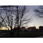 Zdjęcia użytkowników Honor 7