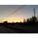 Zdjęcia użytkowników Honor 7