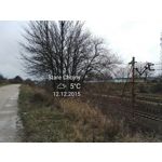 Zdjęcia użytkowników Honor 7