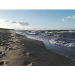 Zdjęcia użytkowników Honor 7