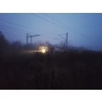 Zdjęcia użytkowników Honor 7