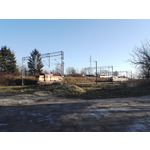 Zdjęcia użytkowników Honor 7