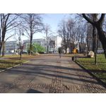 Zdjęcia użytkowników Honor 7