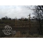 Zdjęcia użytkowników Honor 7