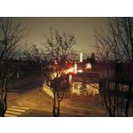 Zdjęcia użytkowników Honor 7