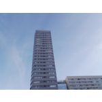 Zdjęcia użytkowników Honor 7