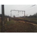 Zdjęcia użytkowników Honor 7