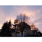 Zdjęcia użytkowników Honor 7