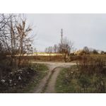 Zdjęcia użytkowników Honor 7