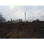 Zdjęcia użytkowników Honor 7