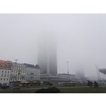 Zdjęcia użytkowników Honor 7