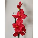 Zdjęcia użytkowników Honor 70