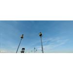 Zdjęcia użytkowników Honor 70