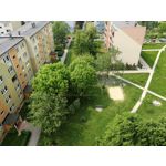 Zdjęcia użytkowników Honor 8 Pro