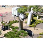 Zdjęcia użytkowników Honor 8 Pro