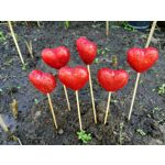 Zdjęcia użytkowników Honor 8 Pro