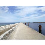 Zdjęcia użytkowników Honor 8 Pro